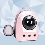 Cat Carrier Bag