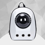 Cat Carrier Bag