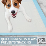 Super Absorbent Pet Diaper Pads - OPENDOORS ENTERPRISE