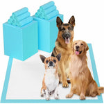 Super Absorbent Pet Diaper Pads - OPENDOORS ENTERPRISE