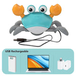 Interactive Escape Crab Toy - OPENDOORS ENTERPRISE