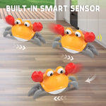 Interactive Escape Crab Toy - OPENDOORS ENTERPRISE