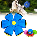 Futuristic Saucer Ball Dog Toy - OPENDOORS ENTERPRISE