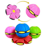 Futuristic Saucer Ball Dog Toy - OPENDOORS ENTERPRISE