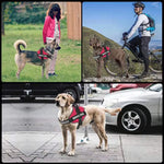 Reflective No-Pull Dog Harness with ID Patch - OPENDOORS ENTERPRISE